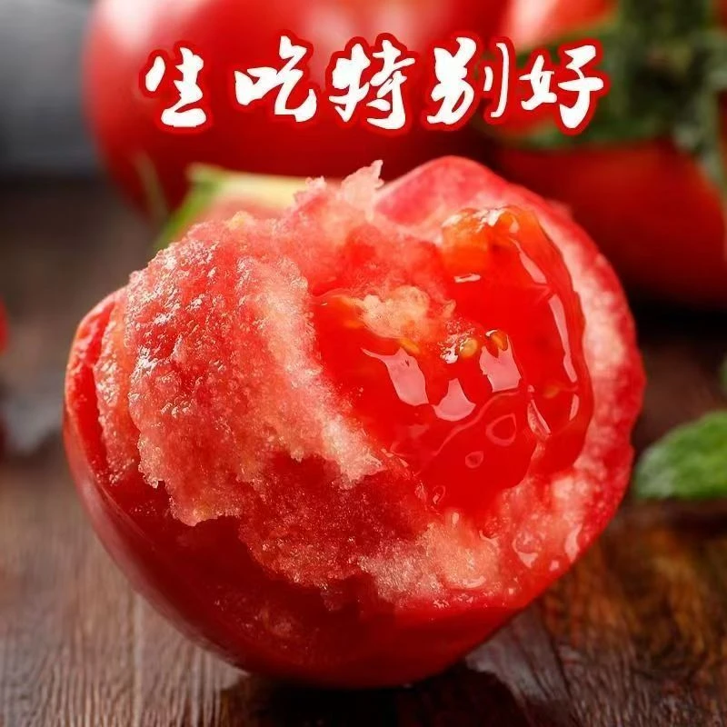 农家自种自然成熟现摘现发番茄沙瓤西红柿5斤装