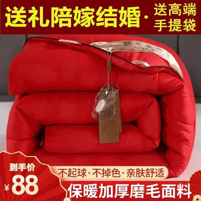桐乡手工桑蚕丝全棉高档结婚冬被子夏凉被加厚保暖被芯家用暖冬被