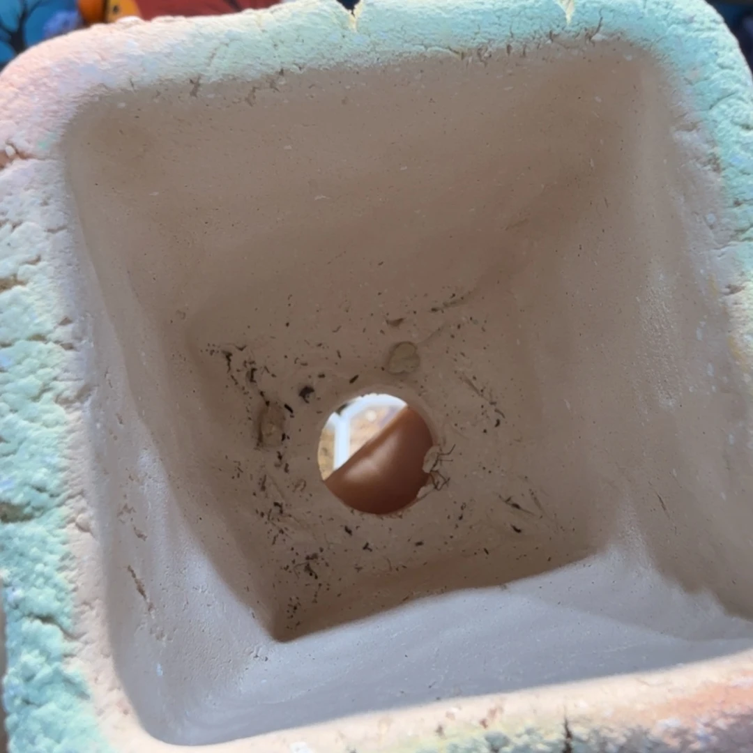 多肉多肉多肉多肉多肉60元