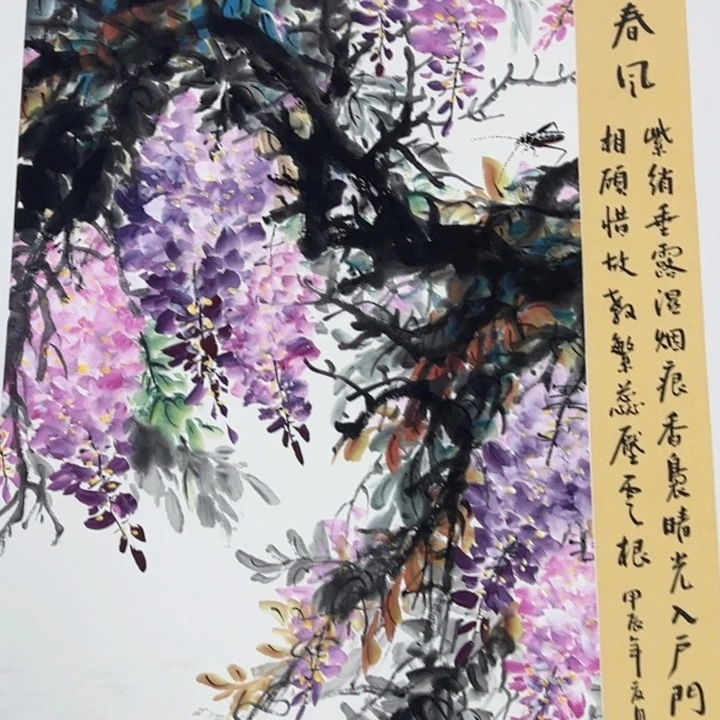 横款福利来了来了来了来