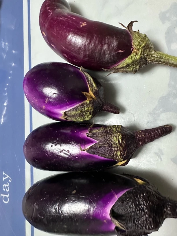 云南昭通农家自种茄子