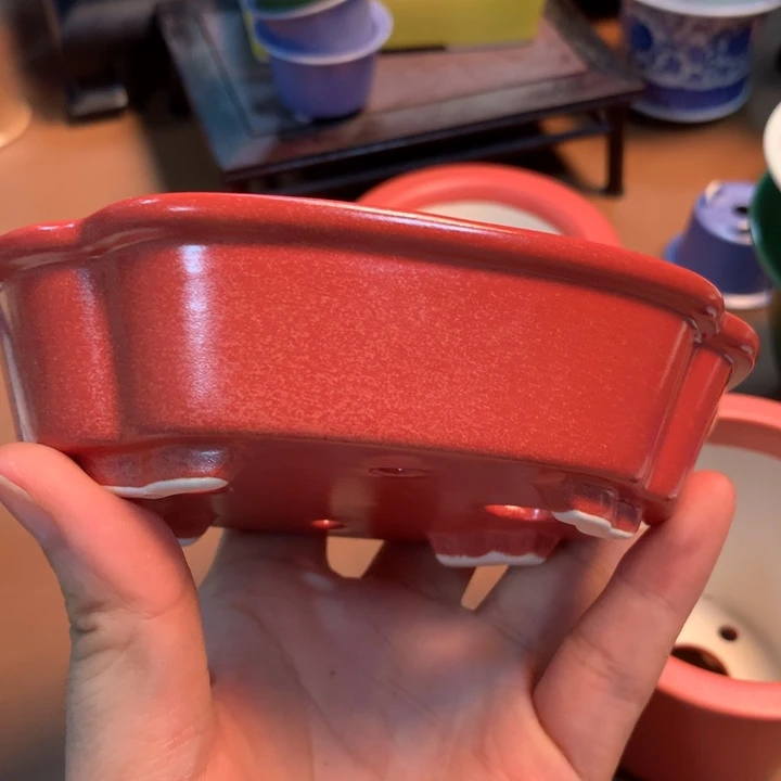 绿***.一个人的时候就是这样的