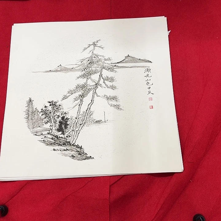 国画花鸟的翅膀和翅膀是