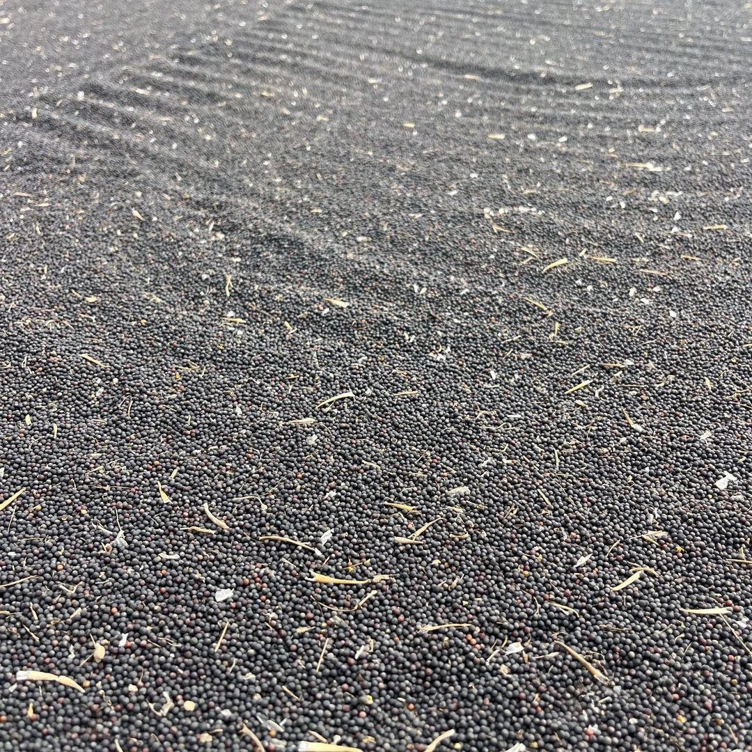 桐庐锋哥土特产净重9.8斤