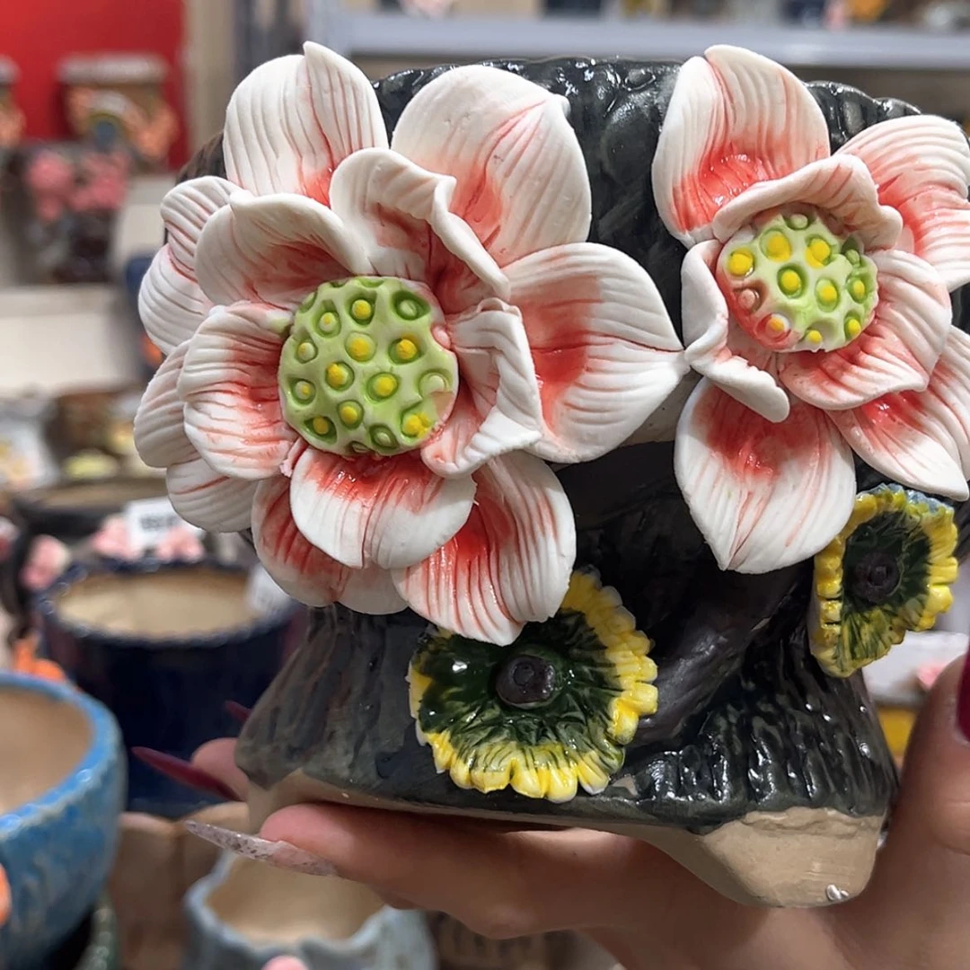 【闪购商品】红陶福利