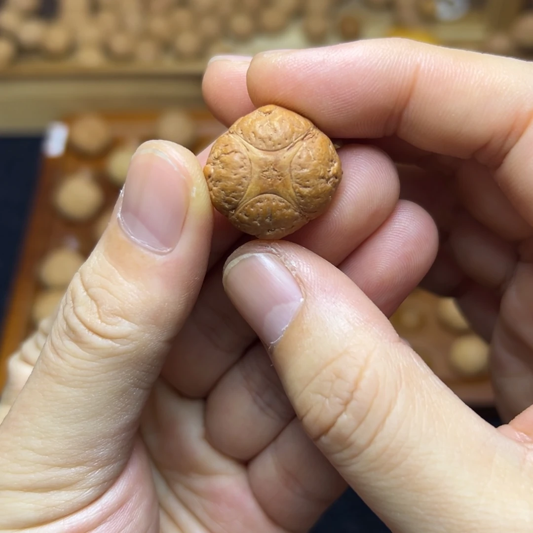 凤眼菩提手串22.8恶魔麒麟眼