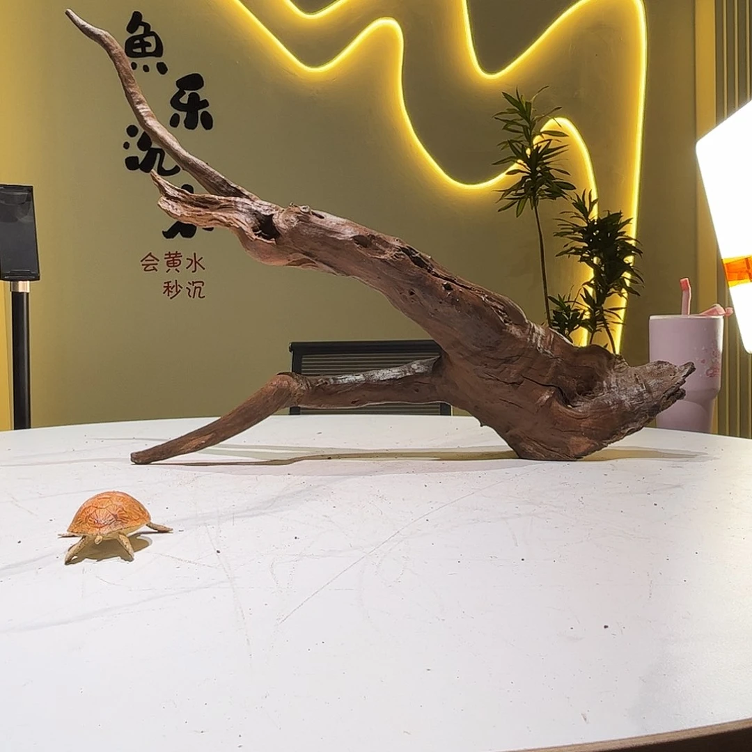 瓦当鬼*子146 会黄黑红水73 14 47