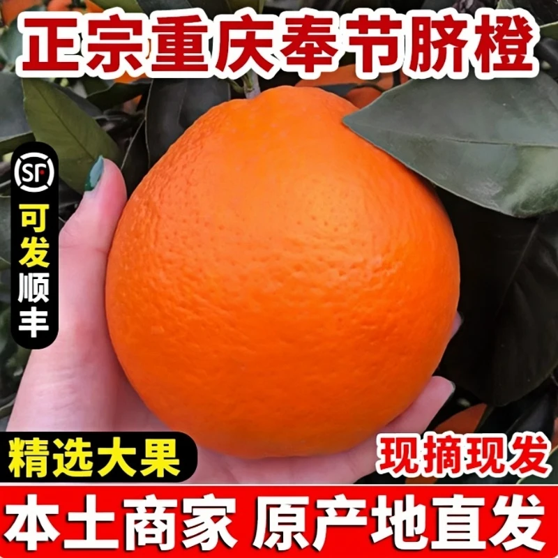 正宗重庆奉节脐橙当季新鲜橙子水果顺丰包邮现摘甜橙产地直发