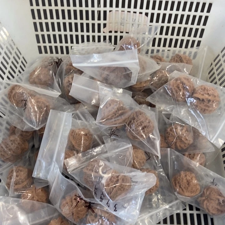 吊坠文玩核桃苹果园微瑕
