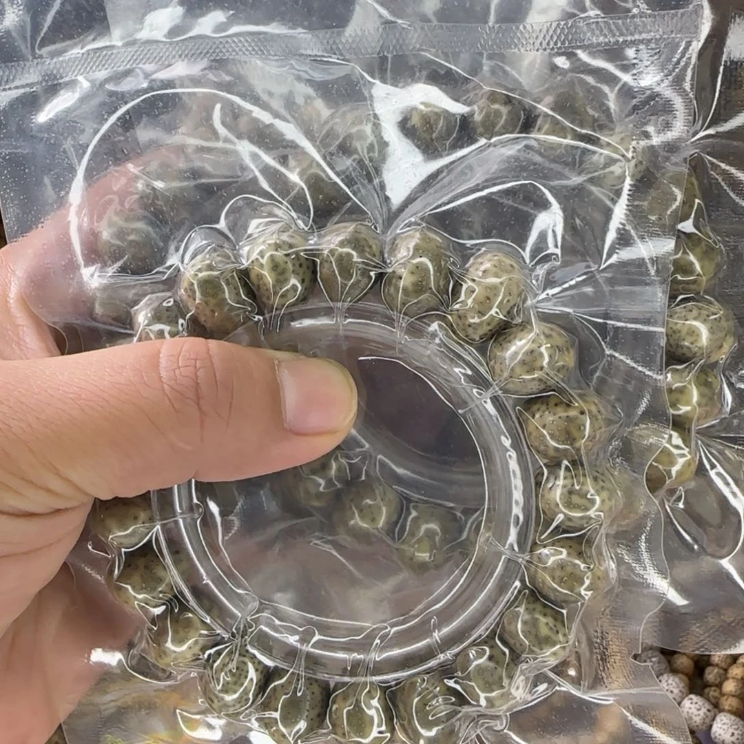 尧***零星月菩提吊坠4条随型