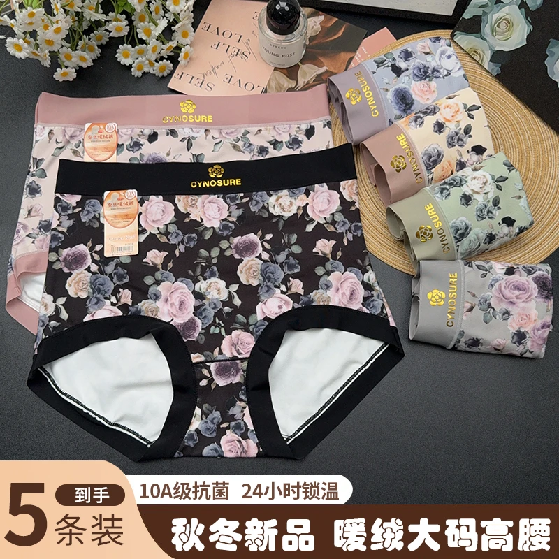 5条装～琥珀流光 蚕丝暖绒裤大玫瑰高腰大码女士三角内裤衩抗菌A24