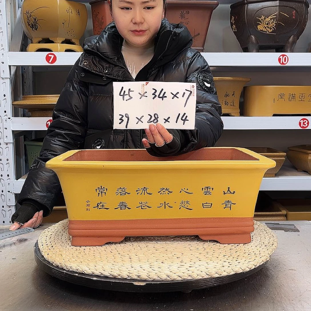 紫砂花盆紫砂花盆