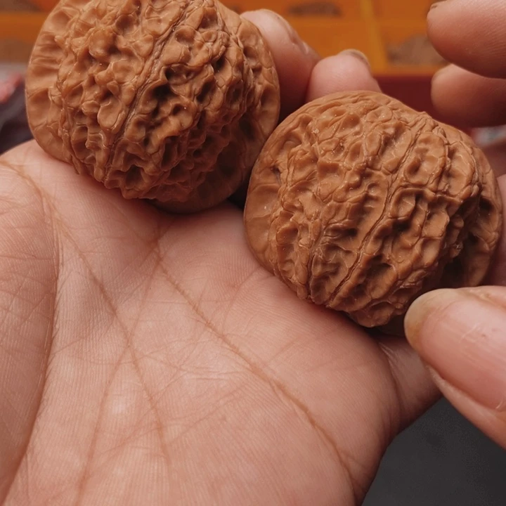 核桃血麒麟42尺核桃