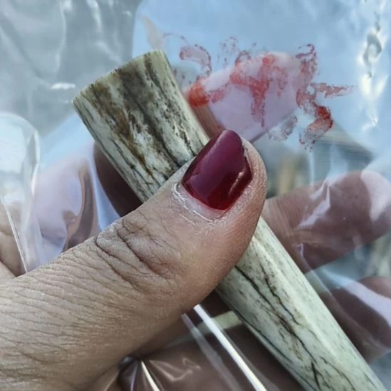3***4鹿角鹿角鹿角鹿角鹿角鹿角