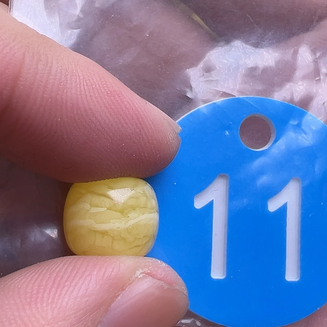 蜜蜡未镶嵌珠宝奇石12.5m m