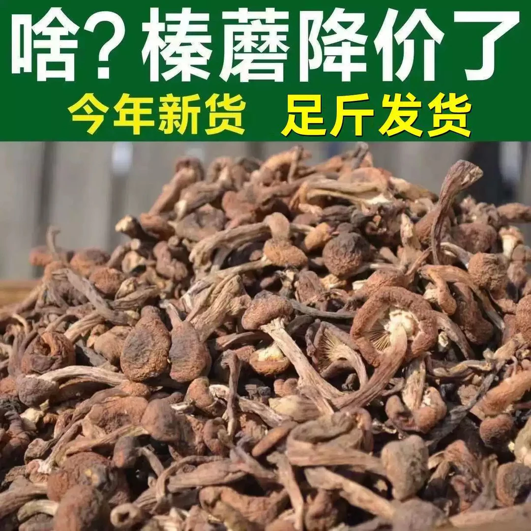 长白山榛蘑丁每一个都来自长白山