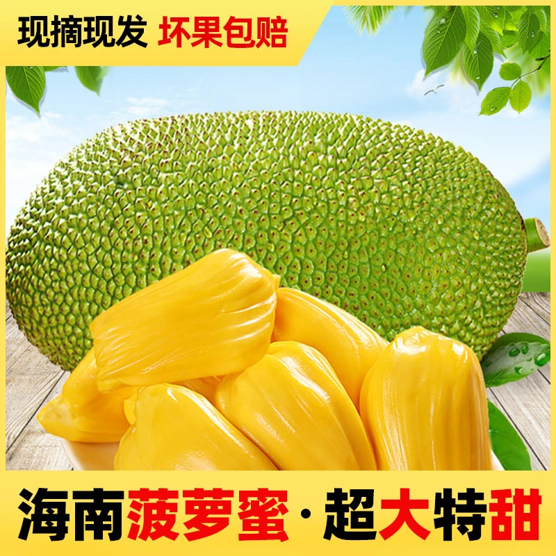 海南新鲜黄肉菠萝蜜水果当季水果正宗黄肉干苞靓果水果当季热卖