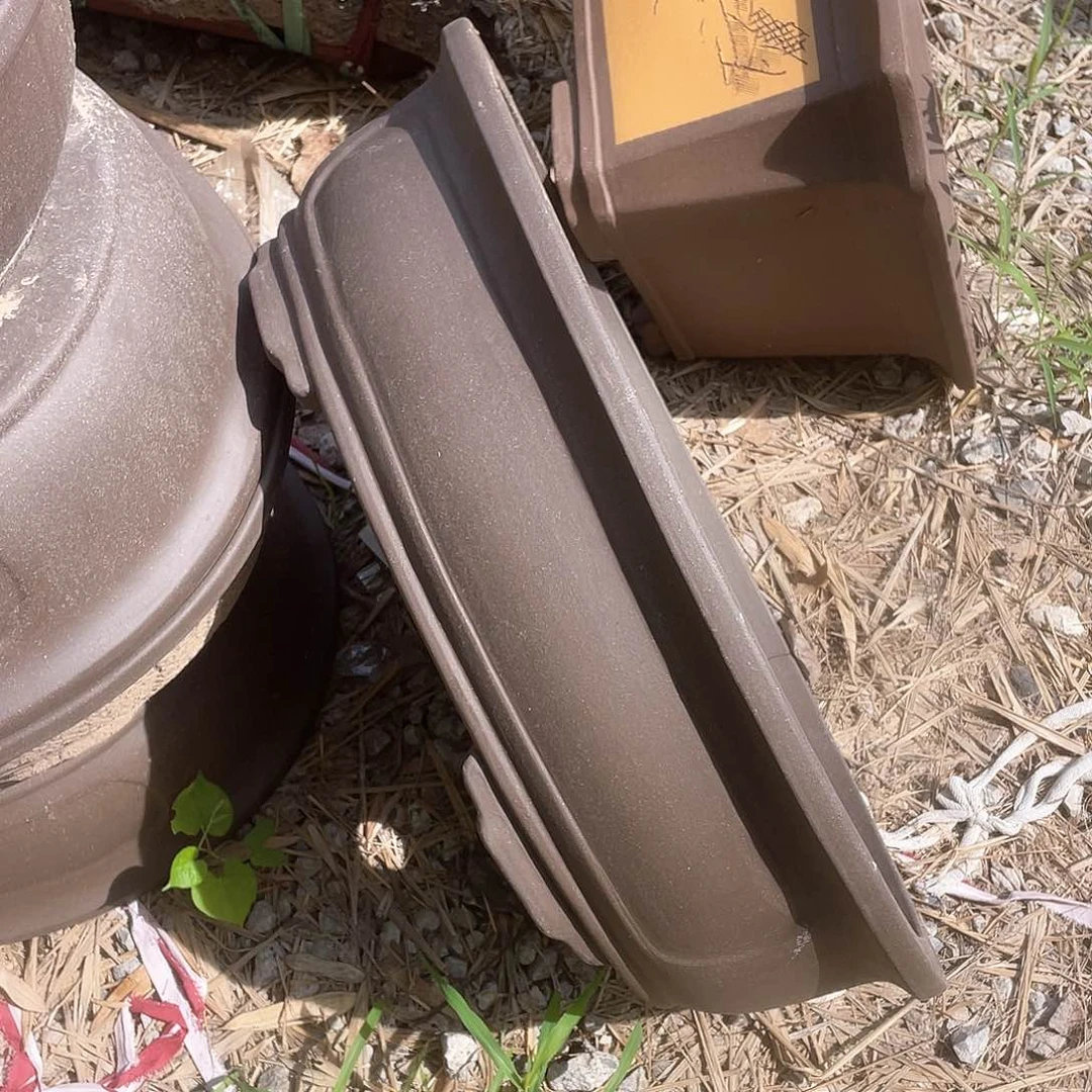 紫砂一只椭圆处理