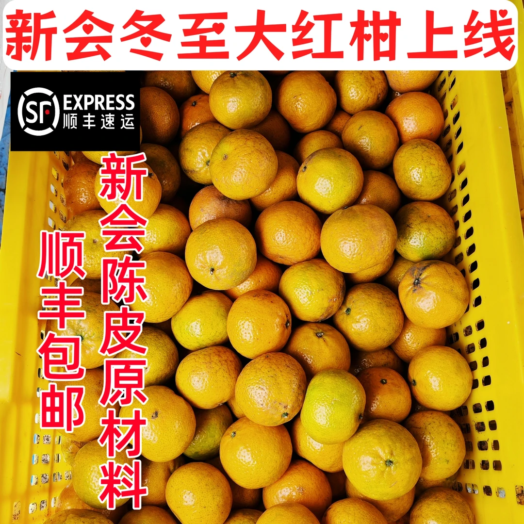 2025年新会冬至大红柑/二红柑 新会茶枝柑果农现摘现发顺丰快递
