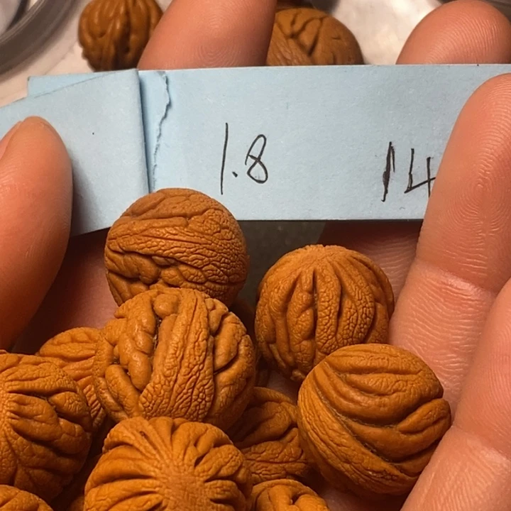 桃核手串陕西国庆桃核