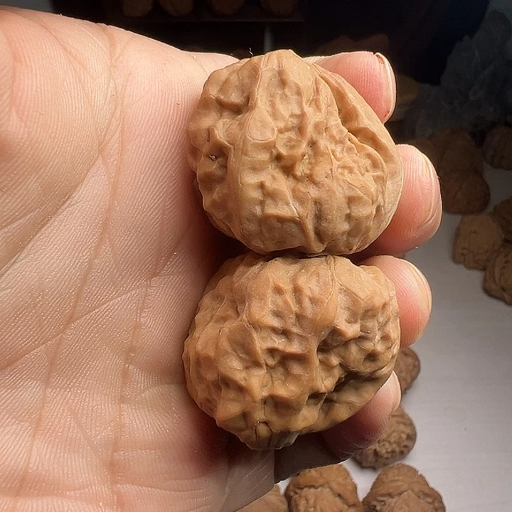 向***女蛤蟆眼睛狮子头全品