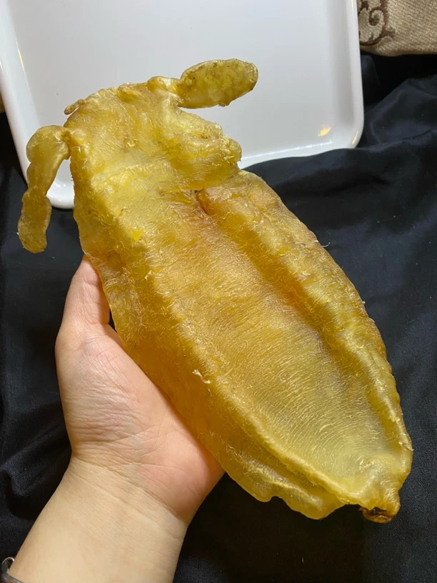 老大耳赤嘴鱼胶一个按只卖