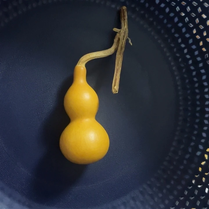 11号手捻细腰四六肚长直嘴