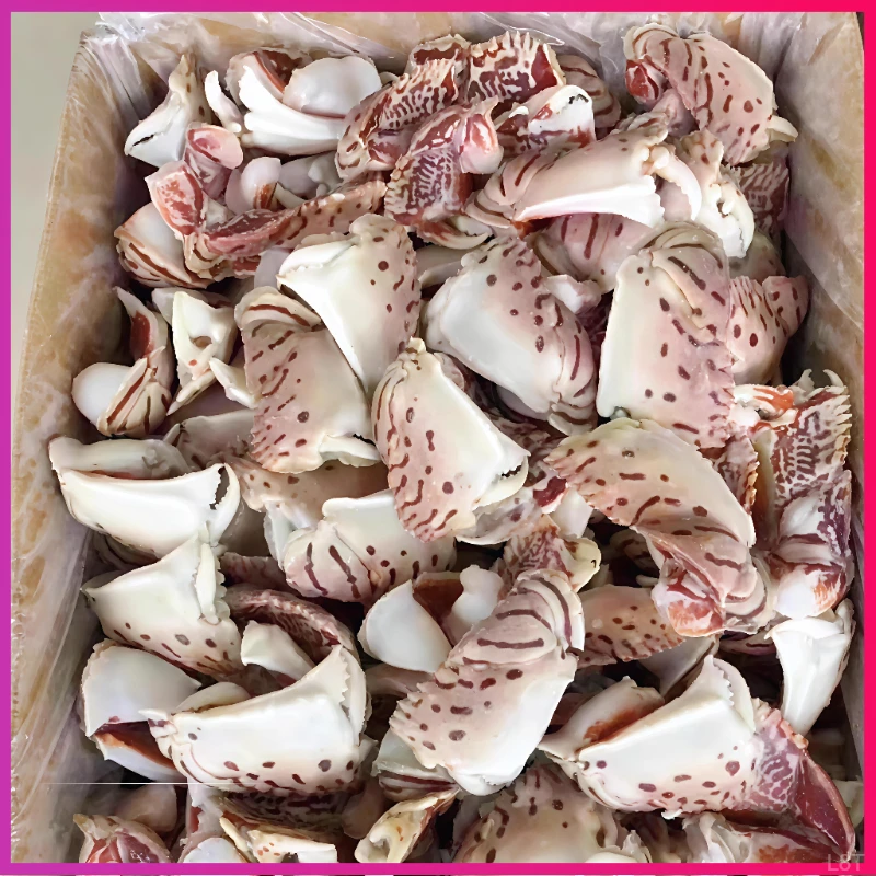 【3斤】特大元宝蟹钳正宗东山岛面包蟹腿超大蟹钳大蟹脚钳鲜活品质