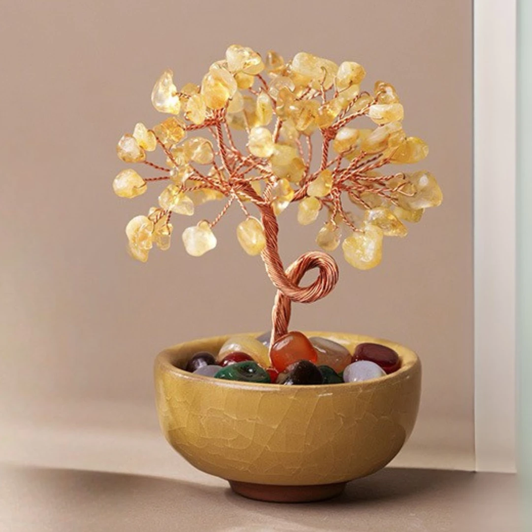 【九紫摇钱树】近心禅舍摇钱树发财树摆件家居客厅玄关办公室桌面礼