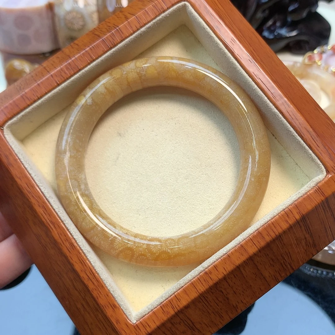 未镶嵌手镯硅化珊瑚（珊瑚玉）300