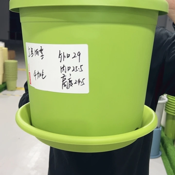 特价5号口29高24.5果绿色6只无托
