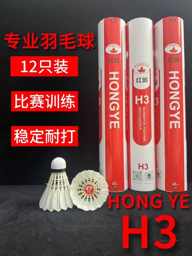 鹚鸪鸭比赛训练俱乐部场馆羽毛球