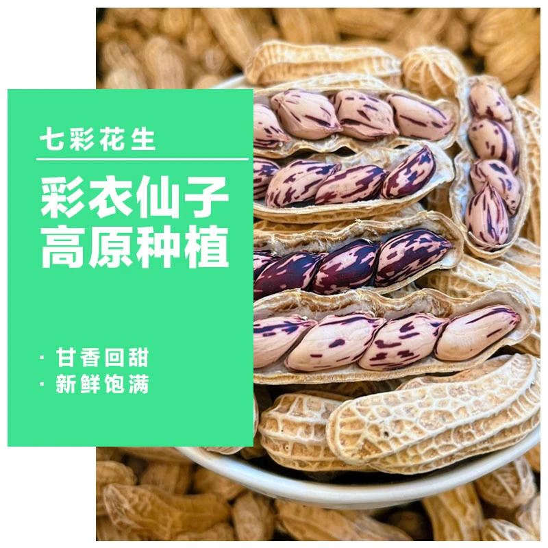 只发川渝&七彩花生带壳云南普洱五彩花生牛奶花生