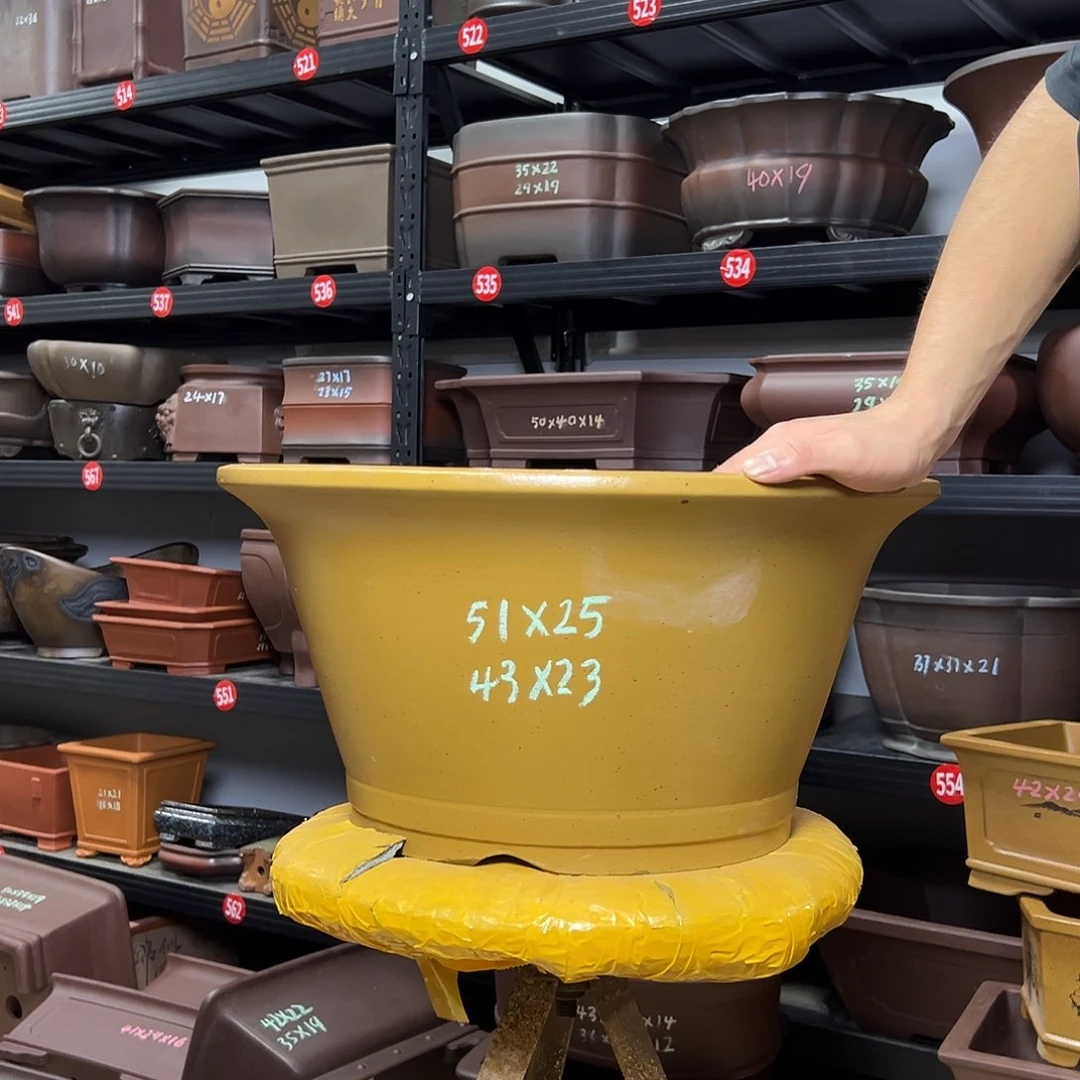 紫砂花盆呜呜呜呜