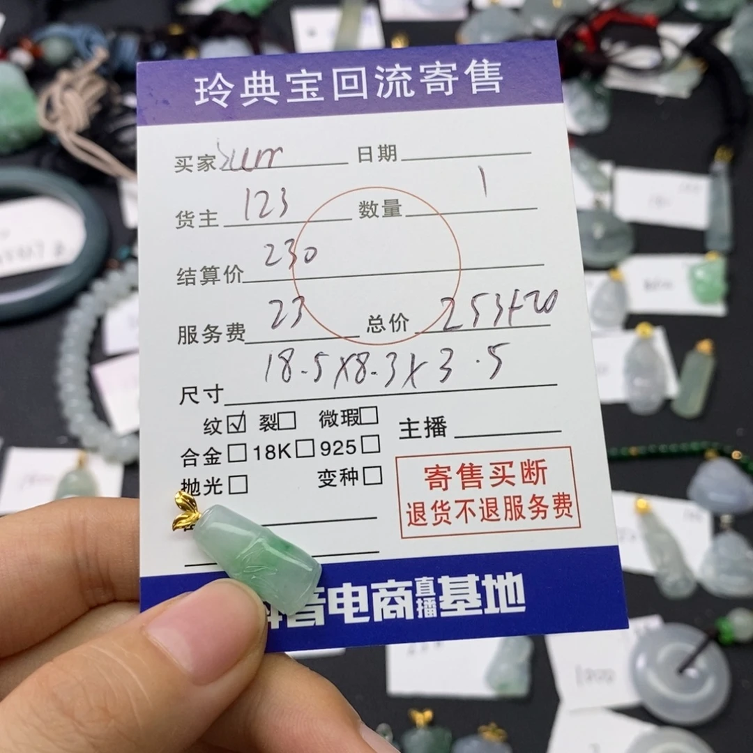 S***^翡翠18K金镶嵌颈饰
