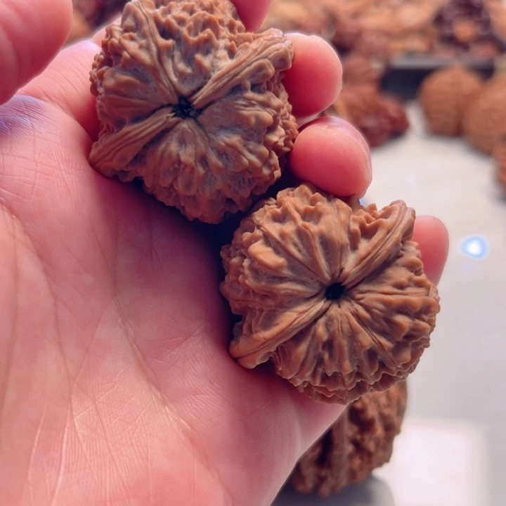 文玩核桃把件39尺寸晋公子