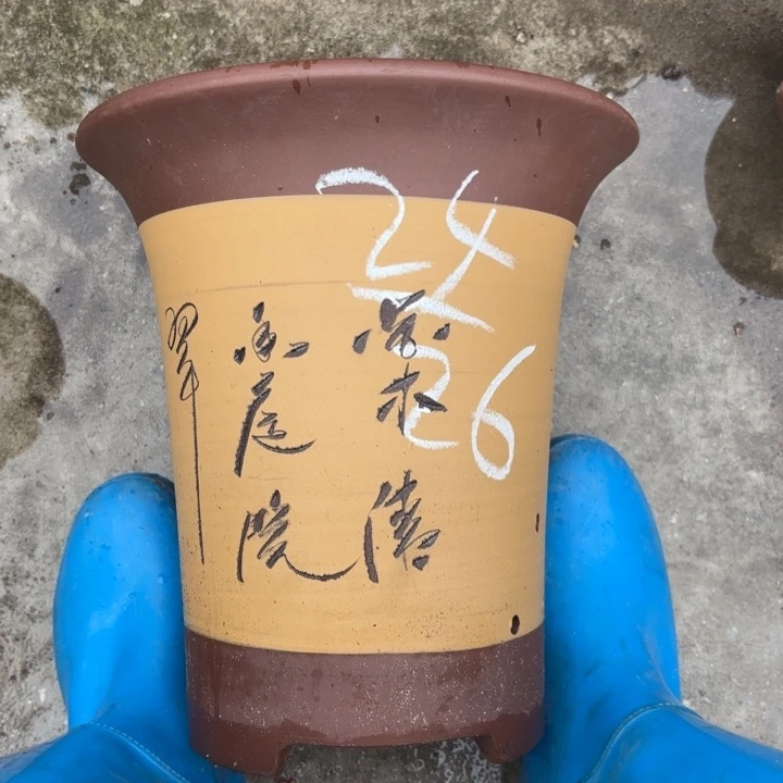 紫砂花盆紫砂的颜色