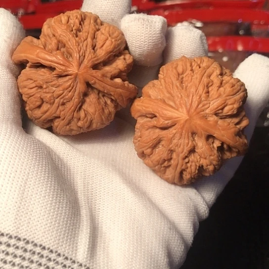 文玩核桃把件大粗筋48