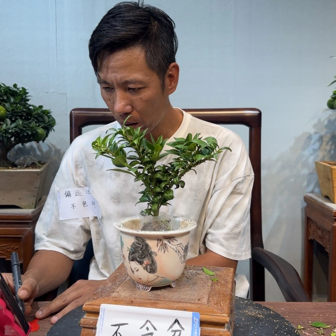 当前无花朵，栽培后可花朵山**白