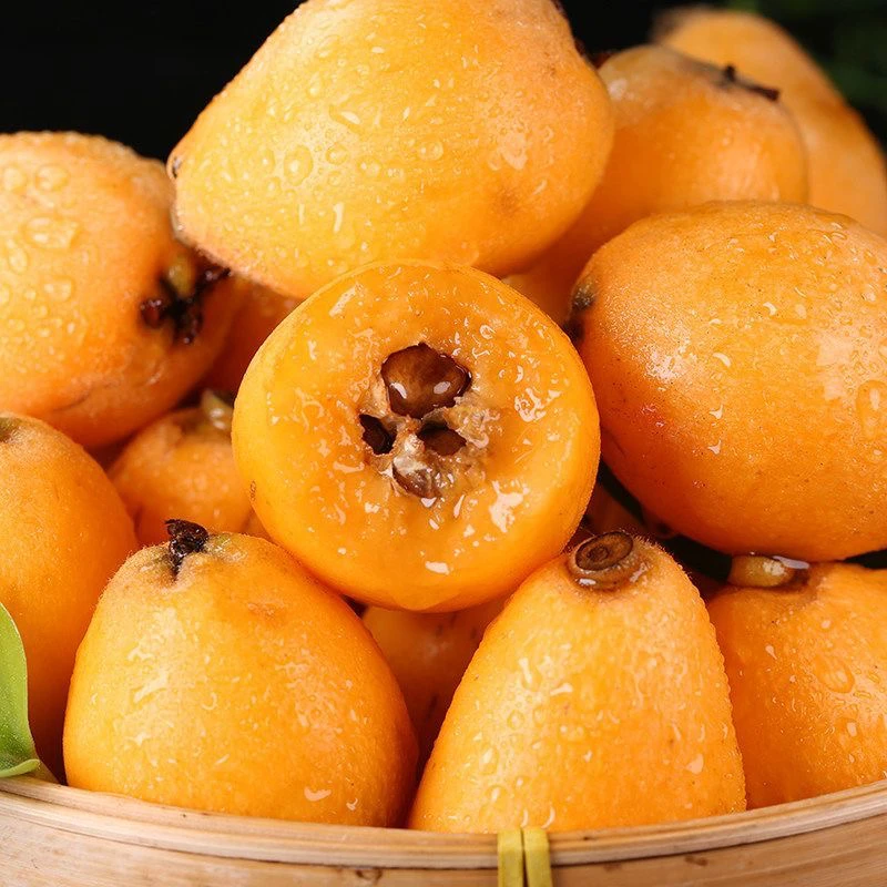 云南蒙自高山种植新鲜枇杷爆汁酸甜可口润肺孕妇水果