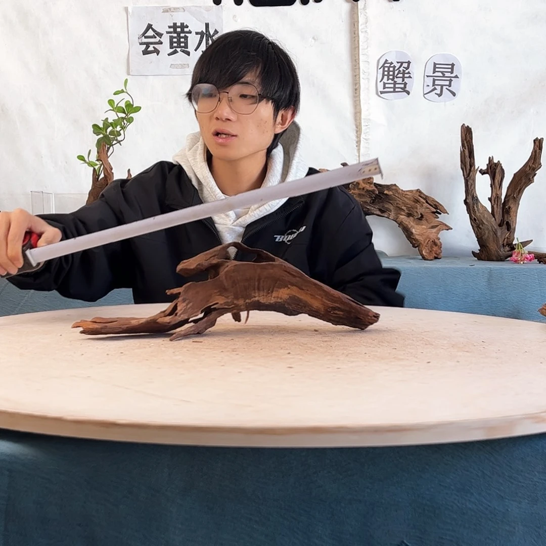 周末福利沉木造景41.14.13