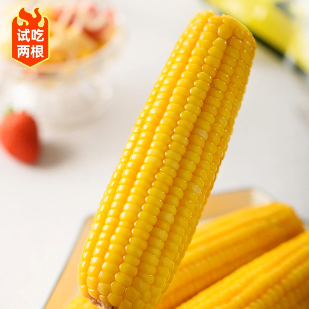 【2025头茬糯九黄玉米】黑土地黄糯玉米软糯香甜铝箔锁鲜 试吃两根