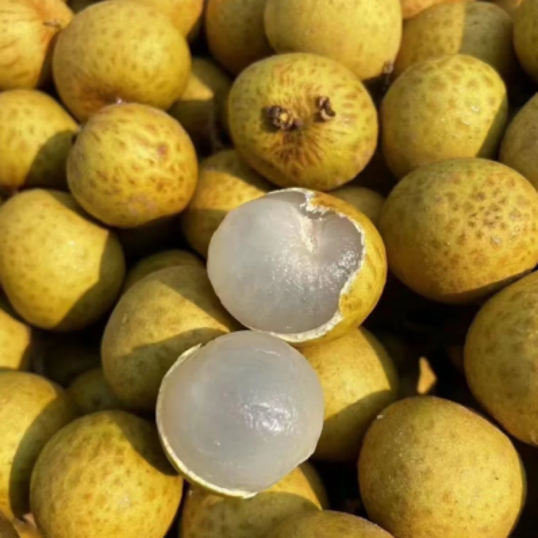 金标龙眼一盒一斤【鲜果】