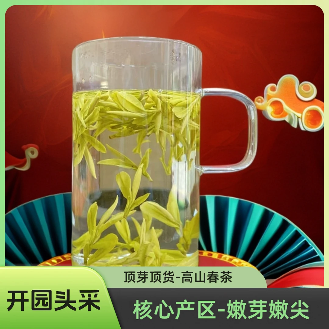 【金杯茶业】2025年新茶-528黄金芽-开园头采-高山茶叶顶货