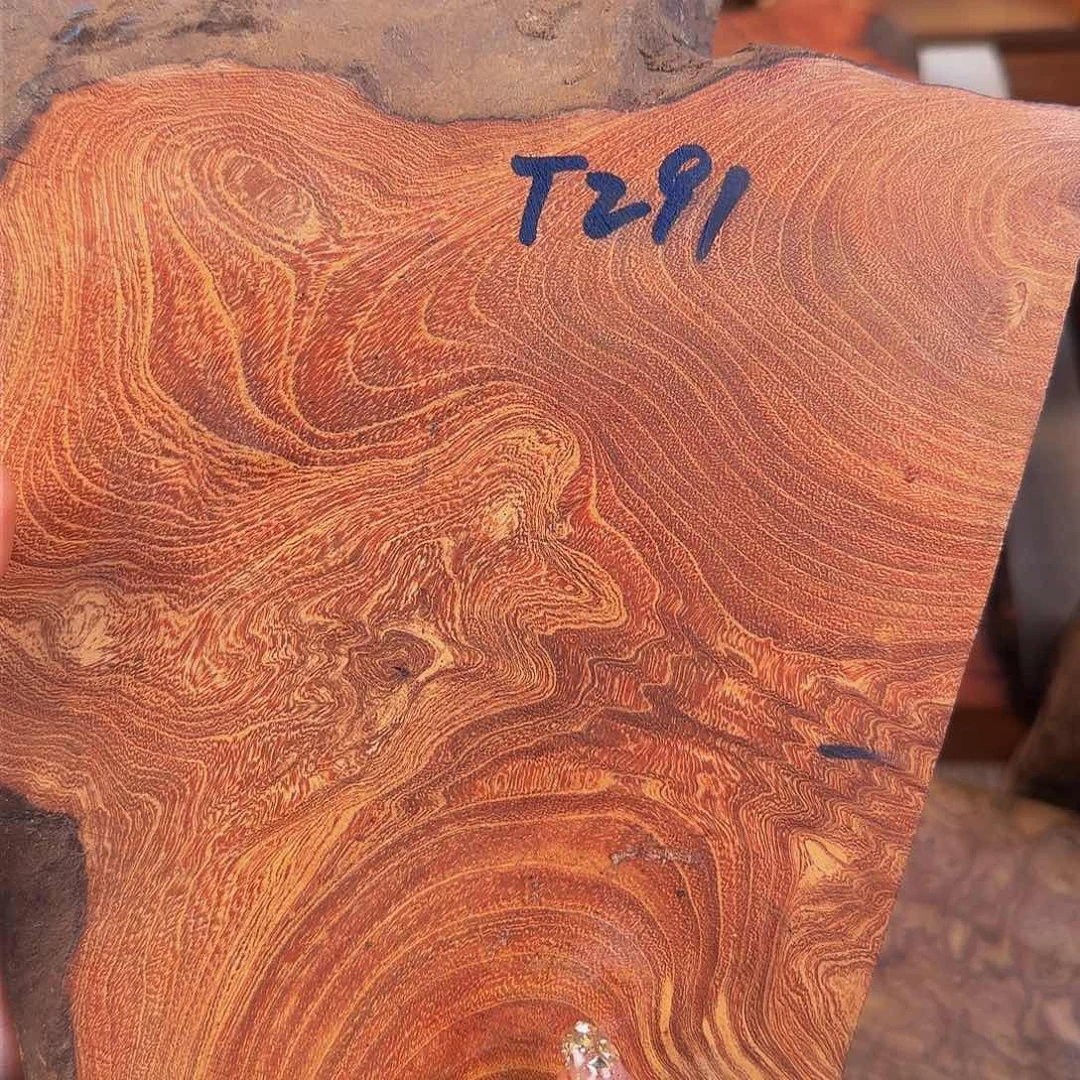 香榧木真*小叶羊蹄甲乱纹料子