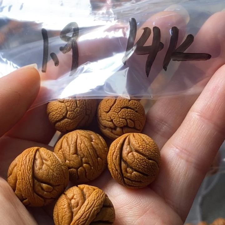 手串文玩核桃秦岭野生龙纹桃核19