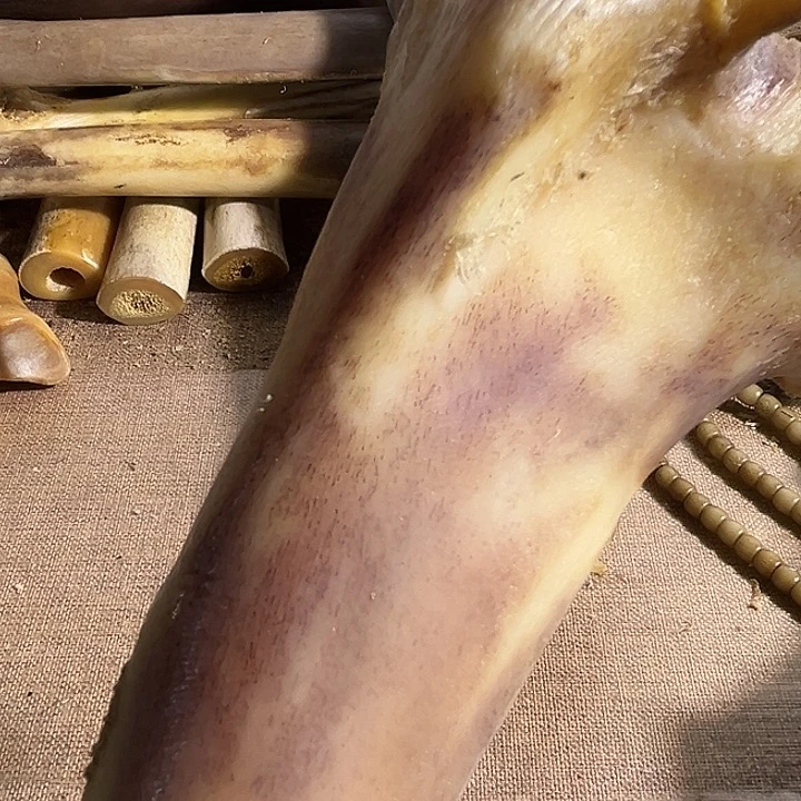 向*yyhu前大腿前大腿整根整根