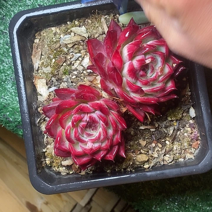 一***家75///////////////