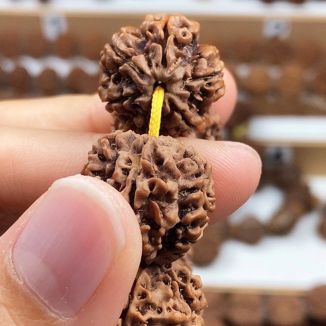 金刚菩提手串稀有精品6瓣铁籽蜂窝