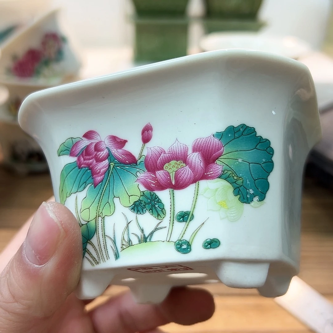 陶瓷陶瓷特价上新